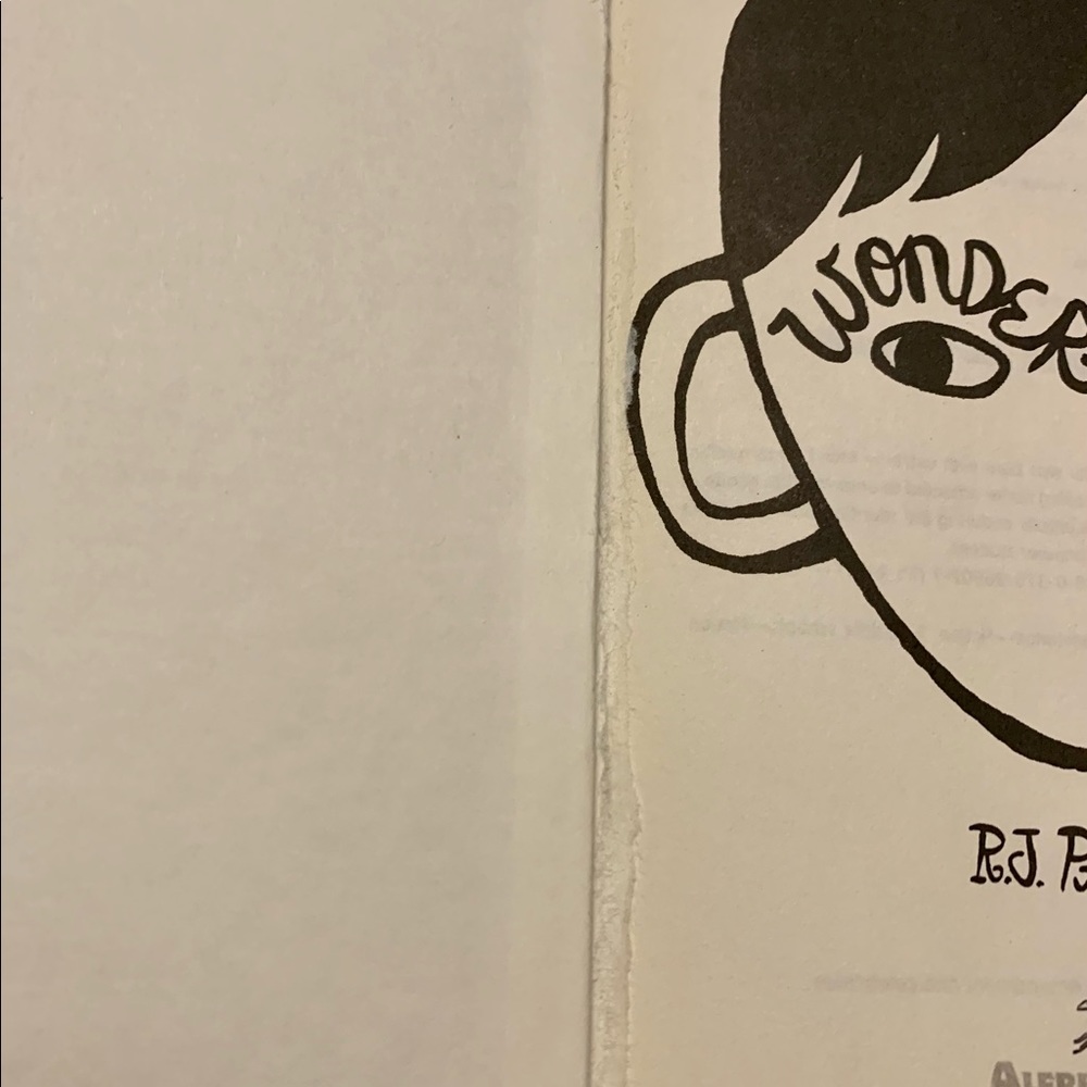 Wonder Hardcover Book By R.J. Palacio - Picture 10 of 11
